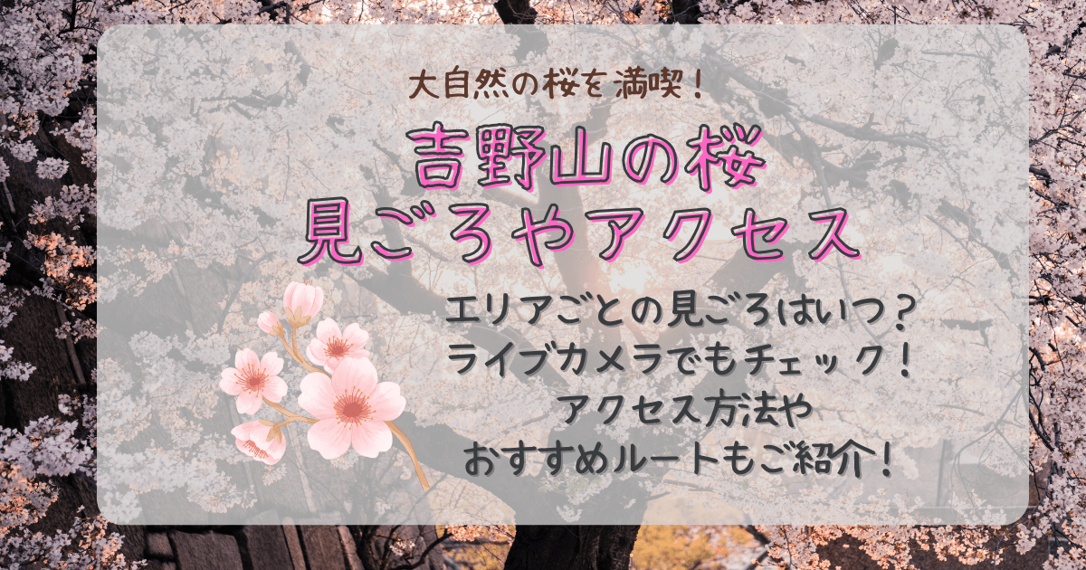 吉野山　桜　お花見　見ごろ　いつからいつまで　ライブカメラ　アクセス　おすすめルート